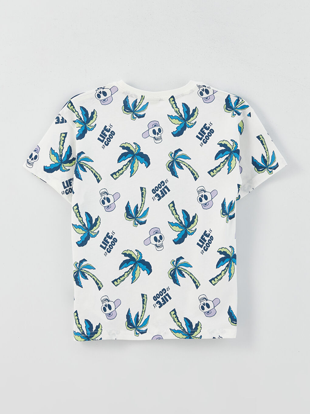 Relaxed Fit Crew Neck Printed Boys' T-Shirt-1