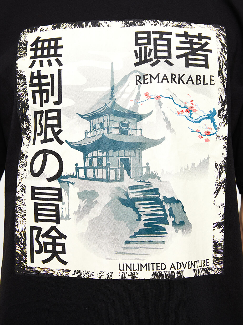 Siyah Bisiklet Yaka Kısa Kollu Baskılı Penye Erkek Tişört-3