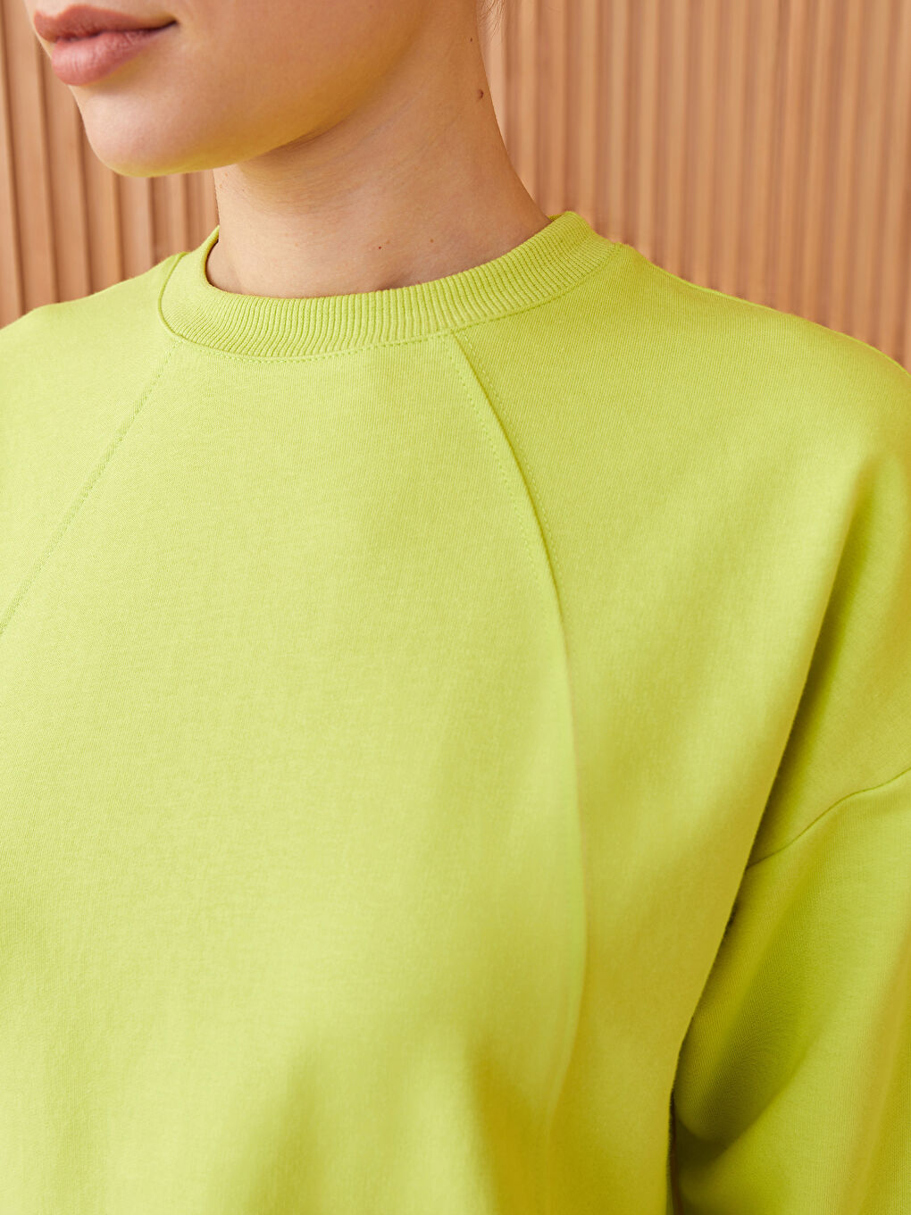 Crew Neck Plain Long Sleeve Women's Sweatshirt Tunic-3