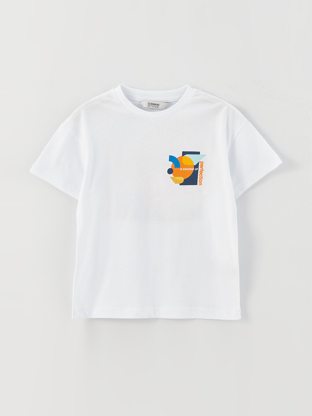 Relaxed Fit Crew Neck Printed Boys' T-Shirt