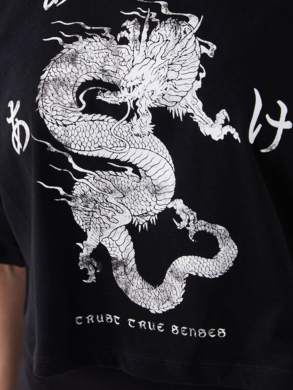 Siyah Bisiklet Yaka Baskılı Kısa Kollu Kadın Crop-3