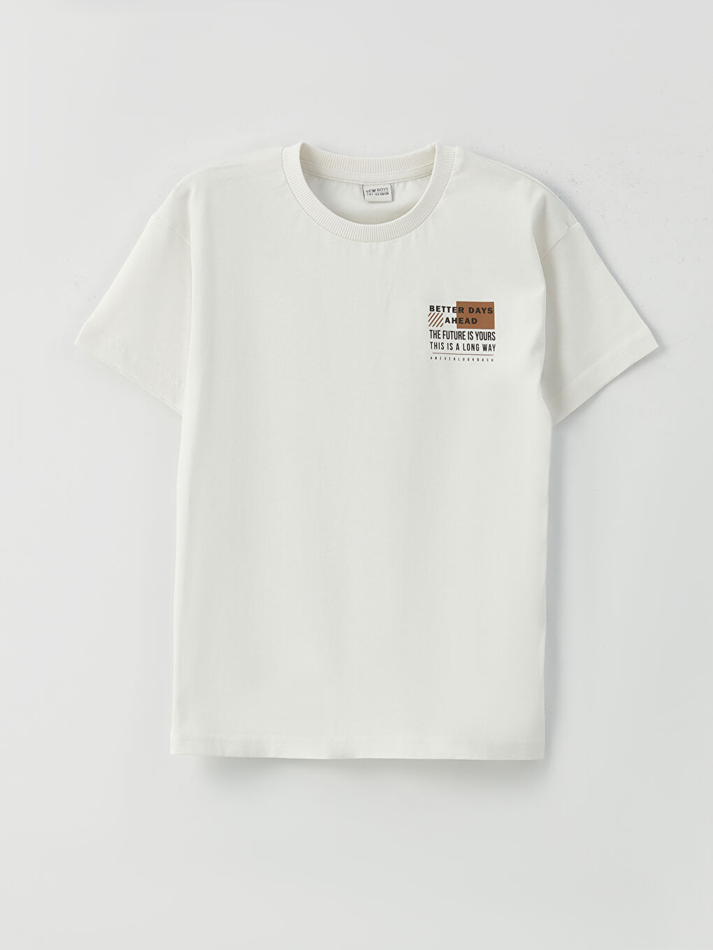 Relaxed Fit Crew Neck Printed Boys' T-Shirt-3