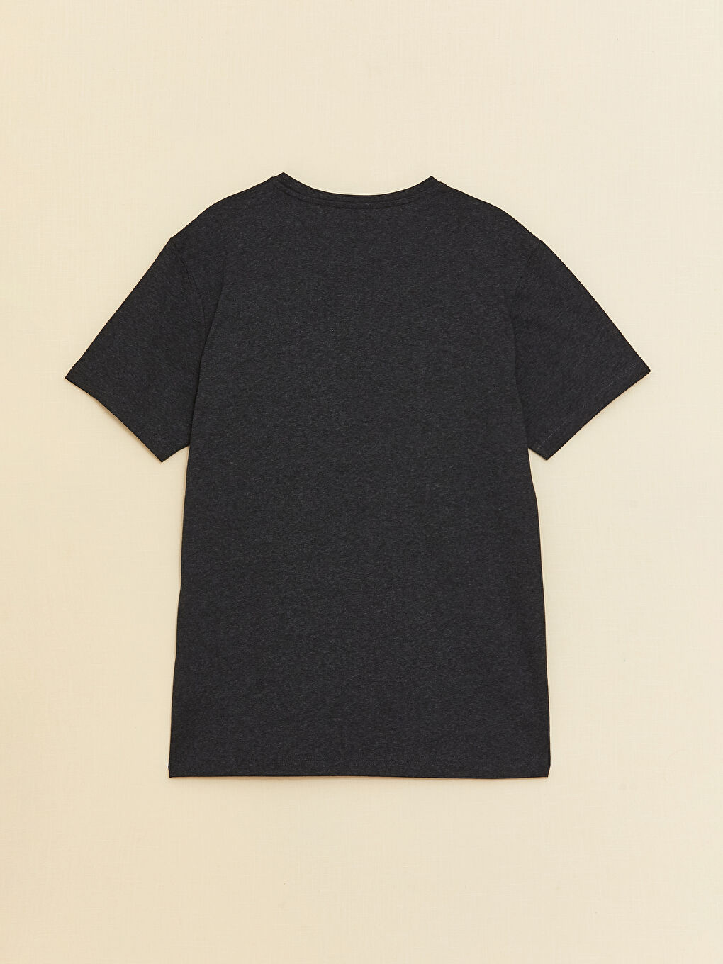 Antrasit Bisiklet Yaka Penye Erkek Tişört-6