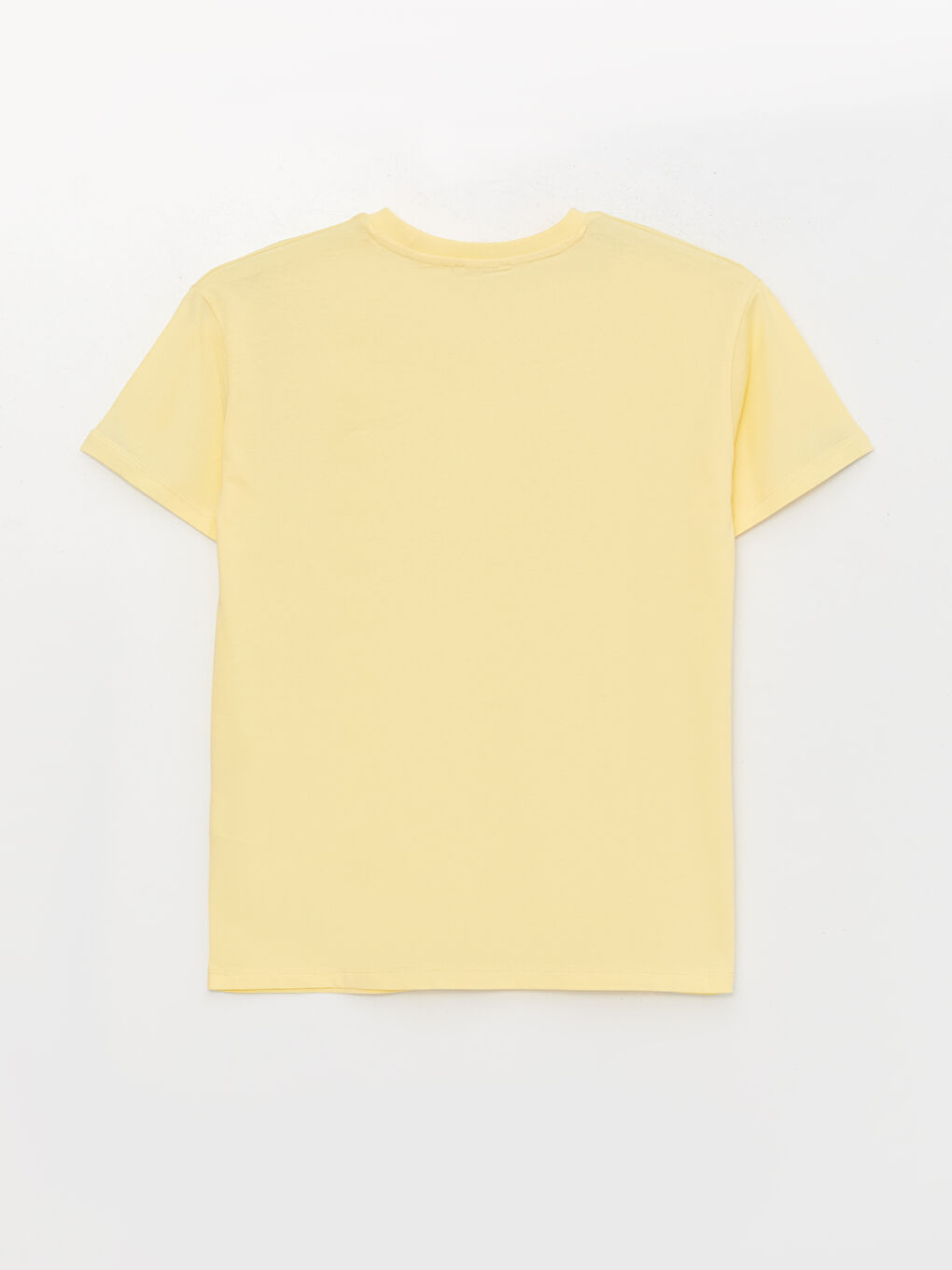 Sarı Bisiklet Yaka Nakışlı Kısa Kollu Kadın Tişört-6