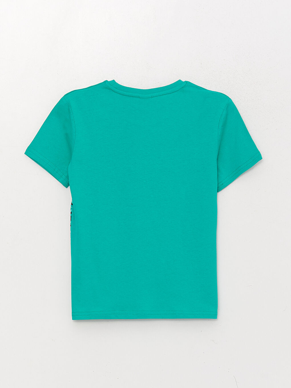 Crew Neck Printed Short Sleeve Boys' T-Shirt-1