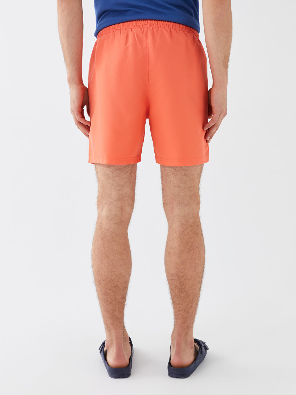 Mercan Kısa Boy Baskılı Erkek Deniz Şortu-4