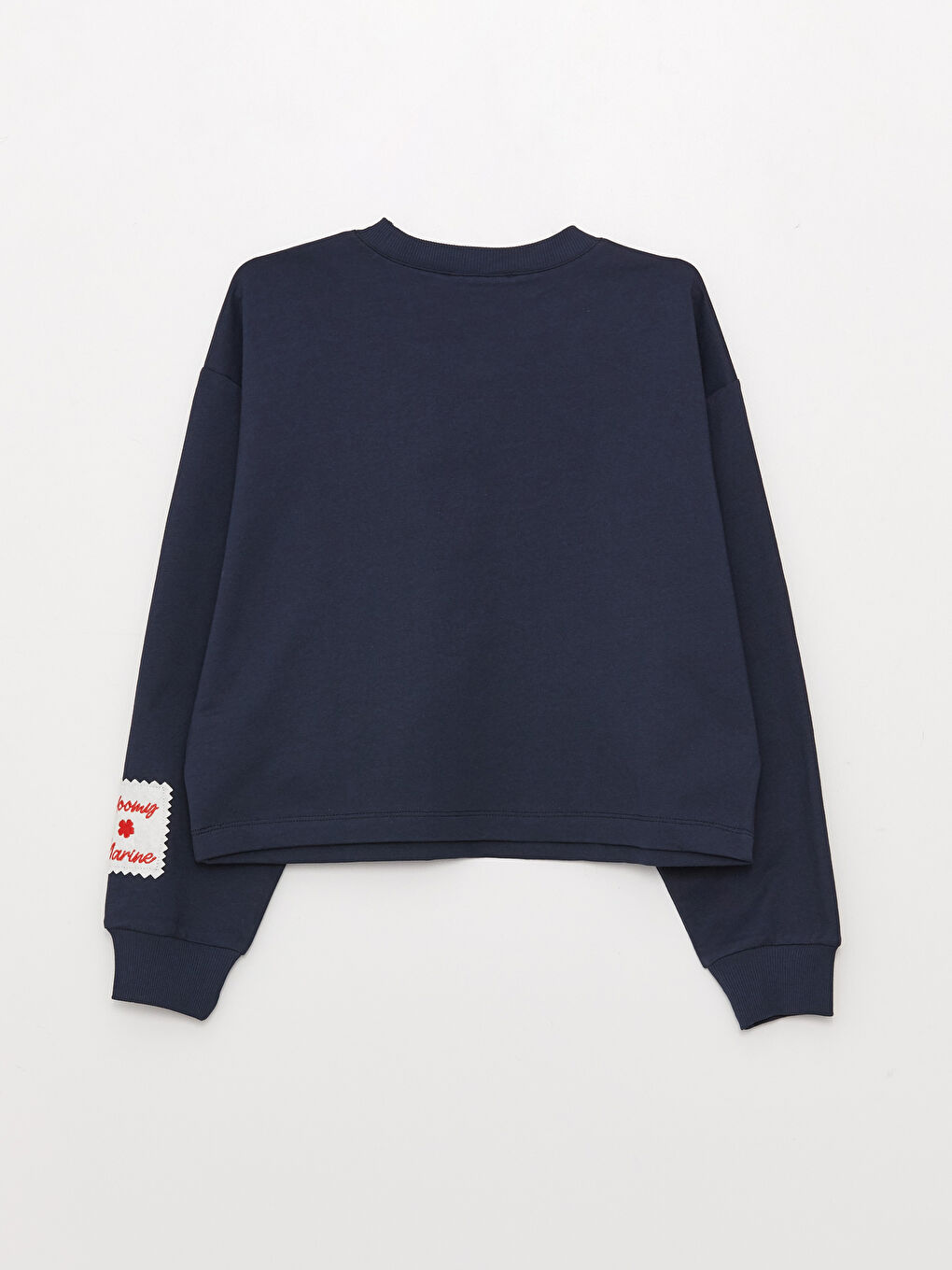 Crew Neck Embroidered Long Sleeve Women's Sweatshirt-7