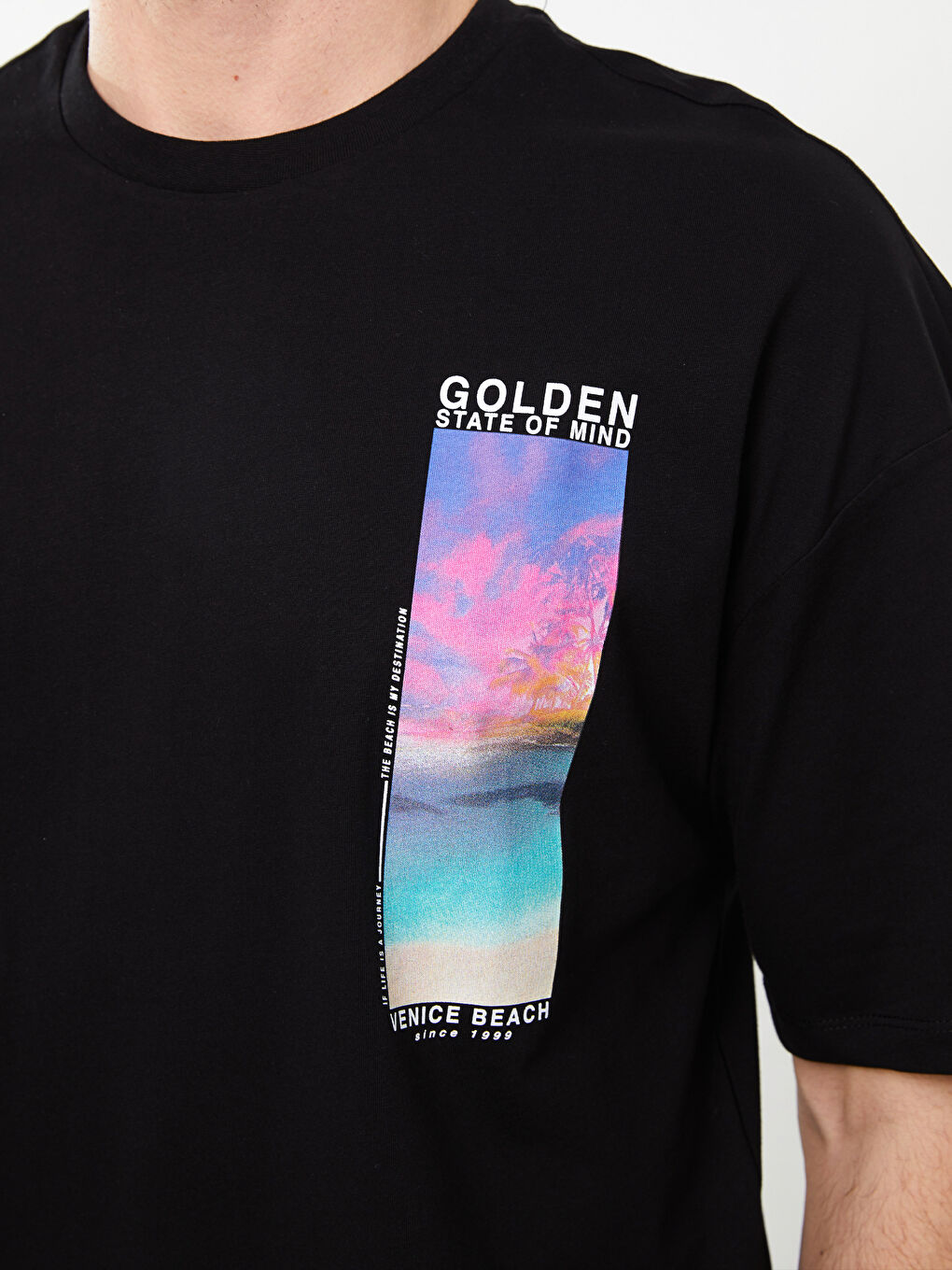 Siyah Bisiklet Yaka Kısa Kollu Baskılı Penye Erkek Tişört-3