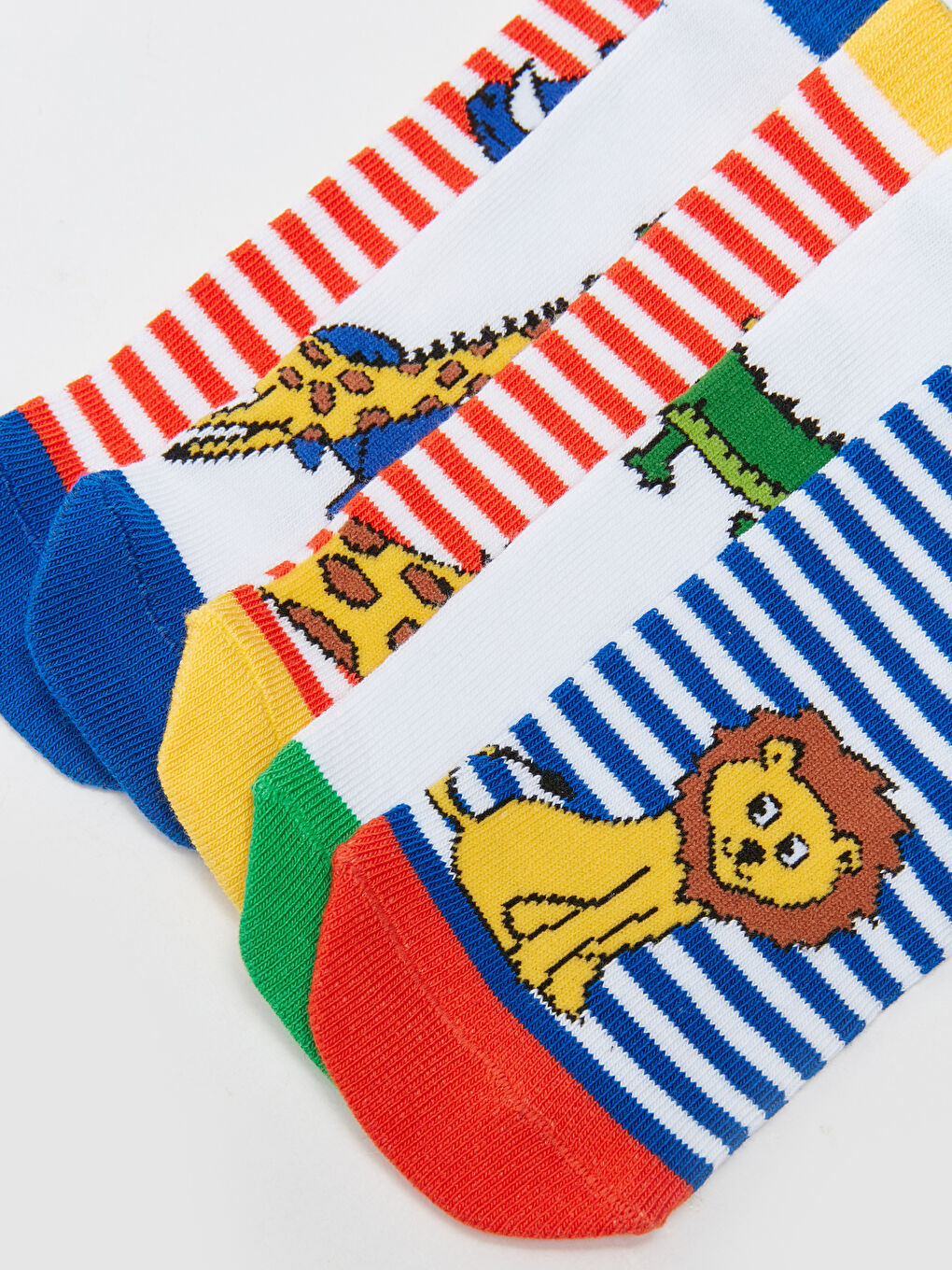 Karışık Desenli Erkek Çocuk Patik Çorap 5'li-2