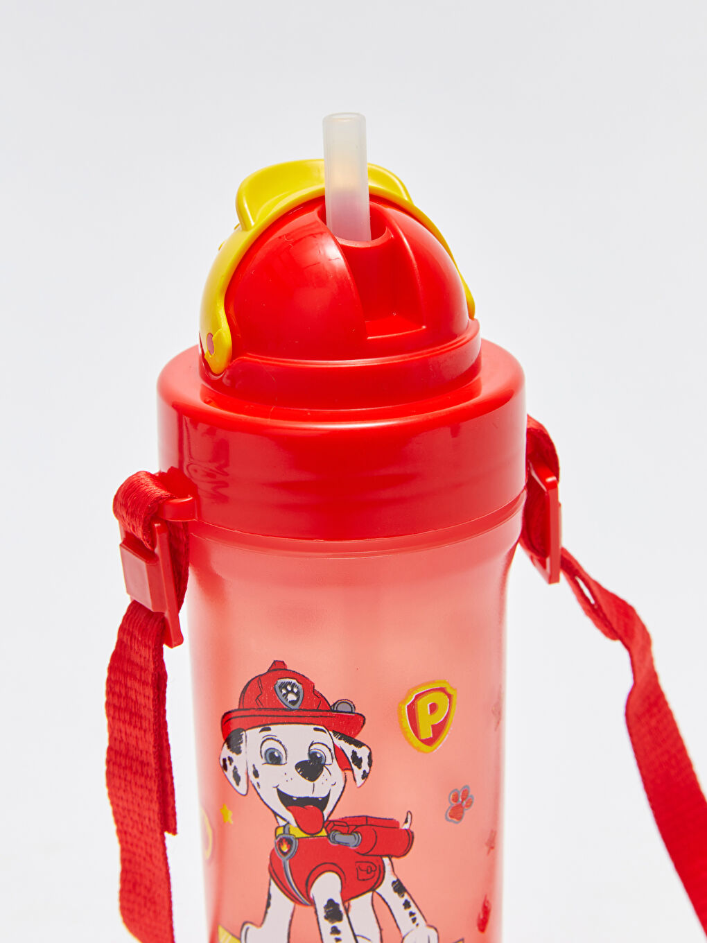 Karışık Paw Patrol Baskılı Bebek Matara 300 cc-5