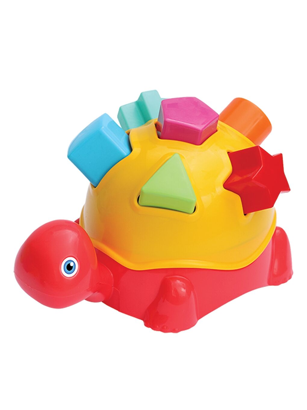 Turtle Bultak Toy-3