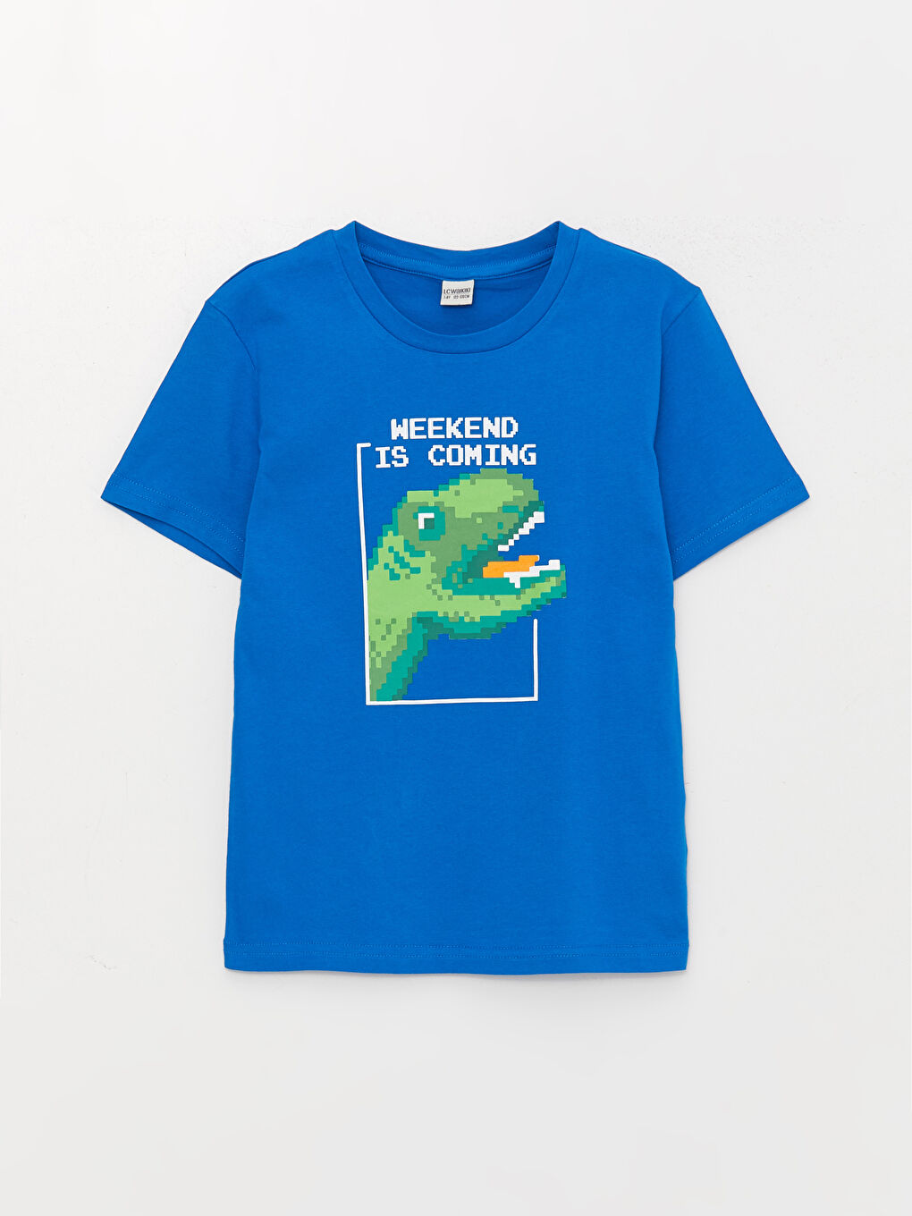 Crew Neck Printed Short Sleeve Boys' T-Shirt