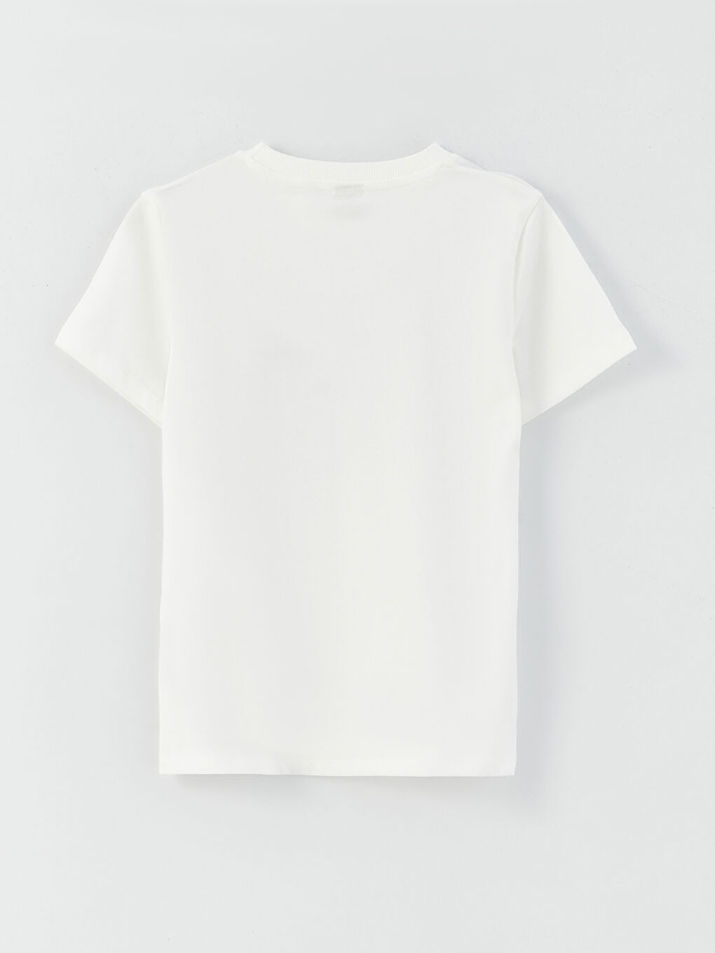 Relaxed Fit Crew Neck Printed Boys' T-Shirt-1