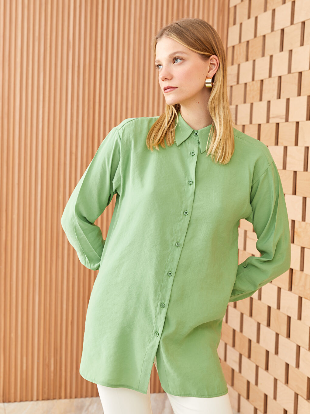Plain Long Sleeve Women's Shirt Tunic
