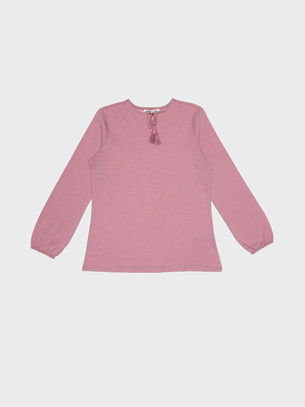 Tie Neck Plain Long Sleeve Women's Blouse