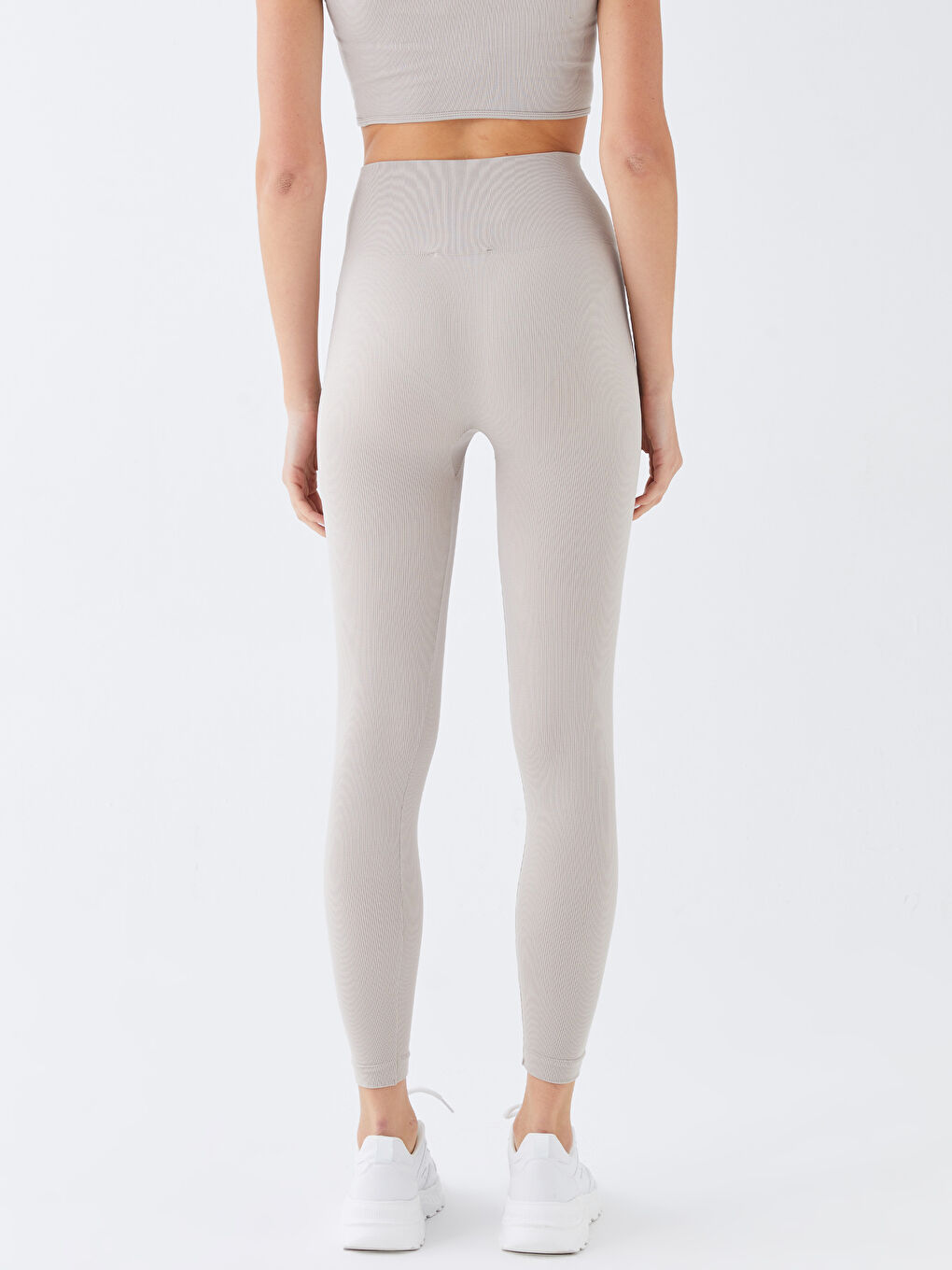 Women's Elastic Waist Regular Tights -S3I604Z8-SKK