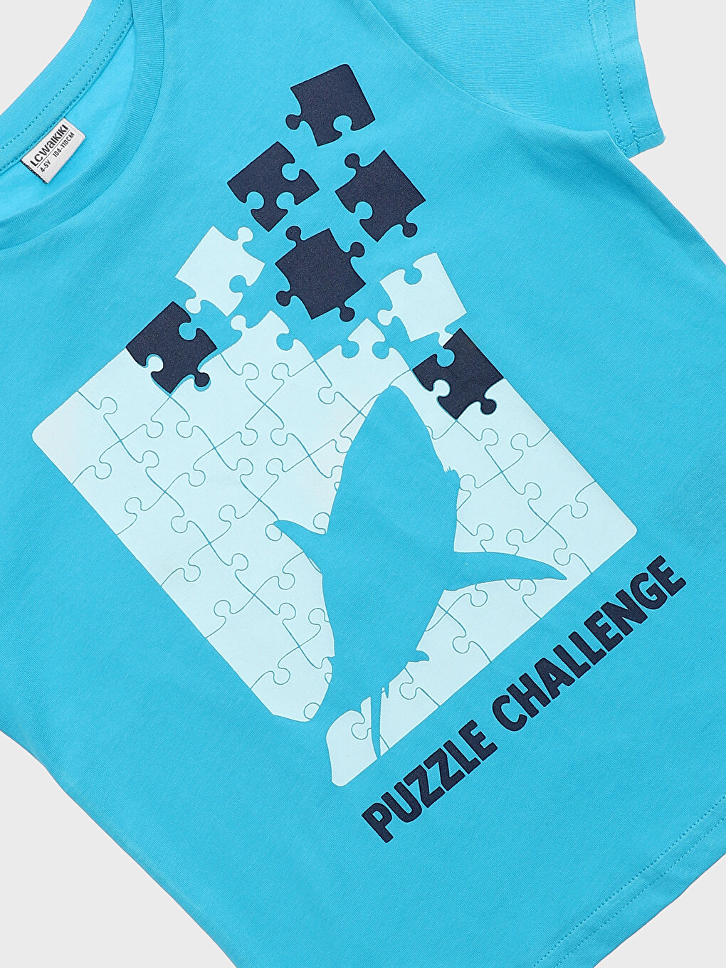 Crew Neck Printed Short Sleeve Boys' T-Shirt-2