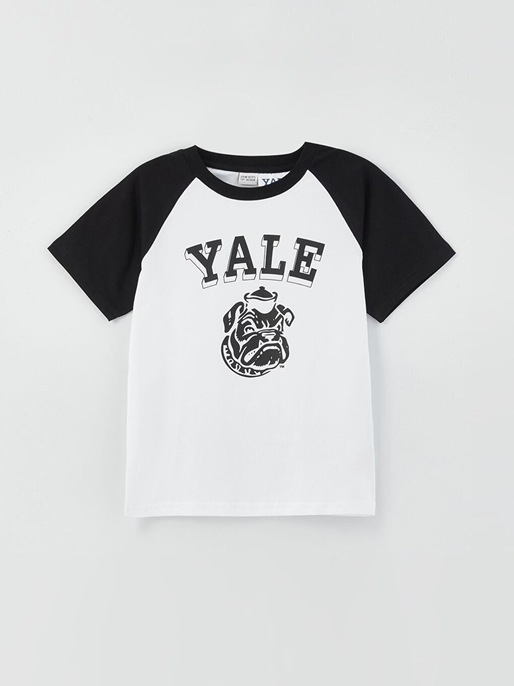 Comfortable Fit Crew Neck Yale University Printed Boy's T-Shirt