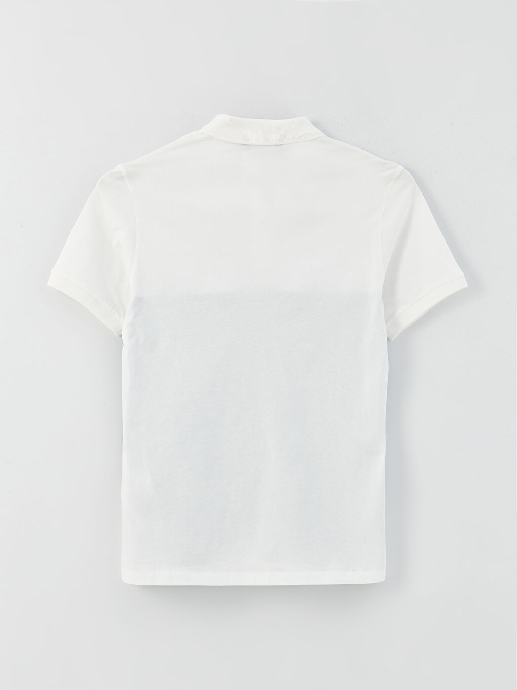 Beyaz Polo Yaka Kısa Kollu Renk Bloklu Erkek Tişört-7