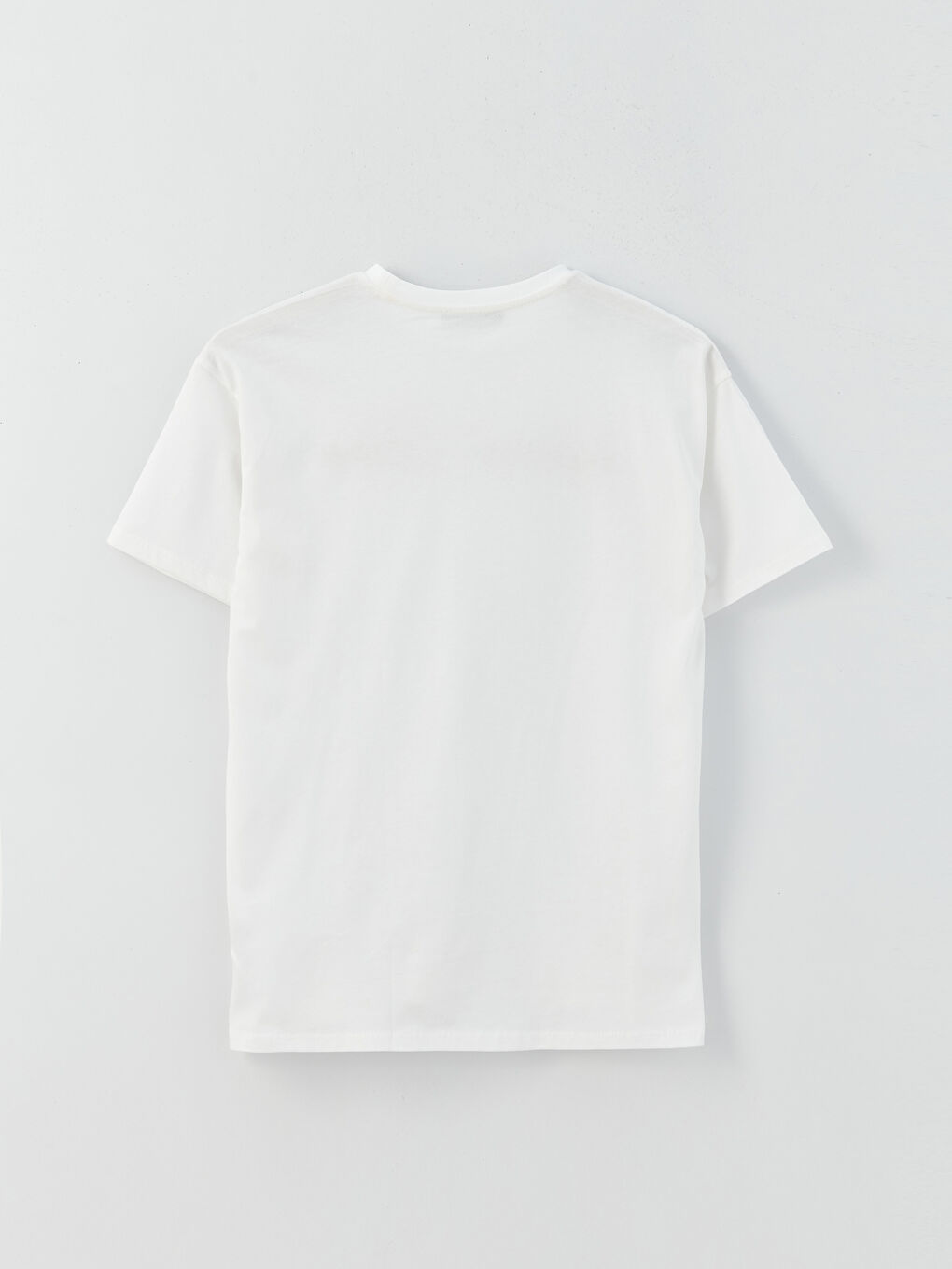 Beyaz Bisiklet Yaka Nakışlı Kısa Kollu Kadın Tişört-6