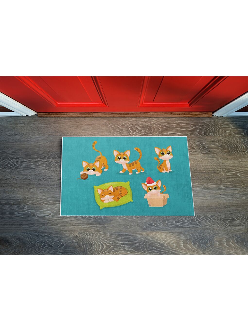 Karışık Baskılı Kapı Önü Paspas 38x58 cm-2