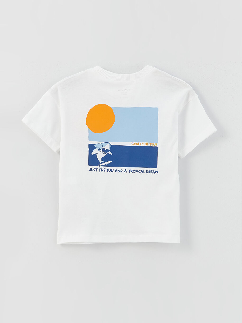 Crew Neck Printed Baby Boys' T-Shirt -S3JE85Z1-FFB