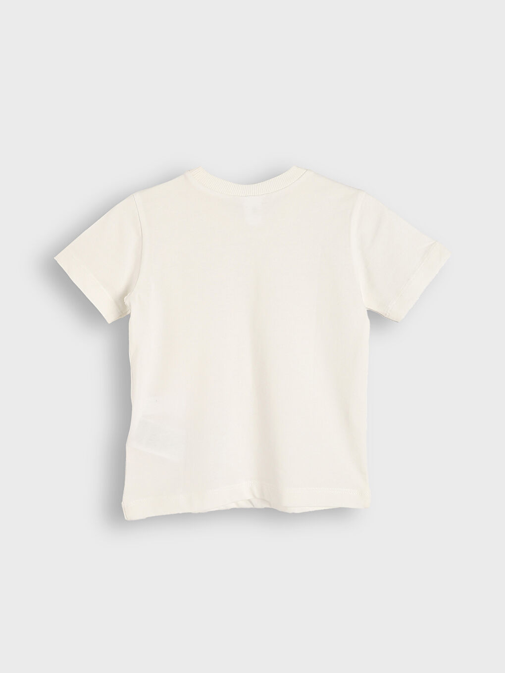 Crew Neck Printed Boys' T-Shirt 2 Pack-7