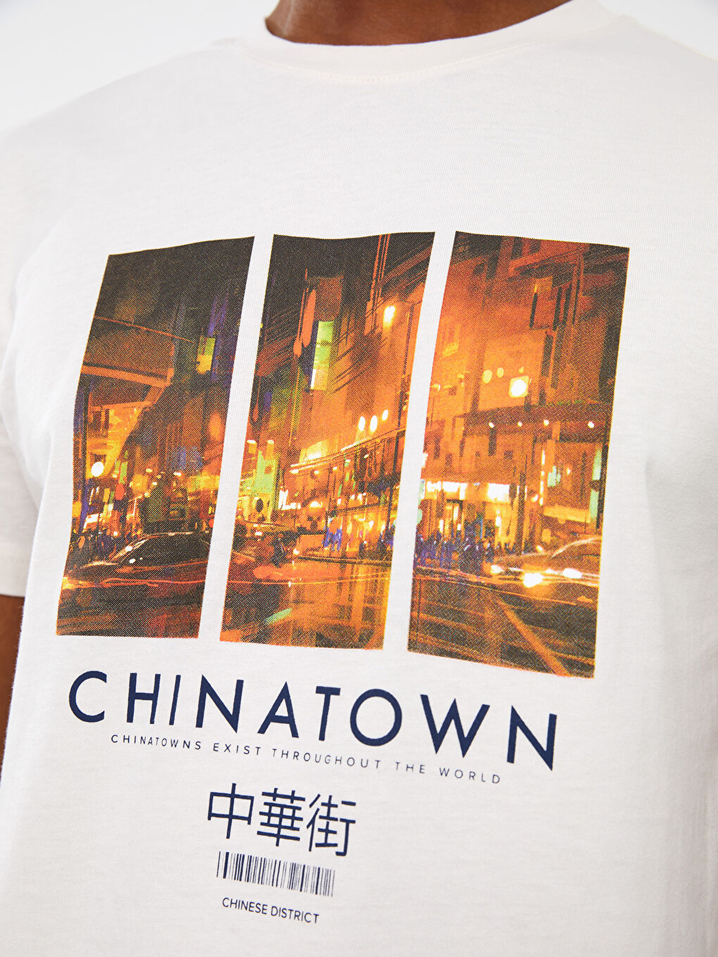 Gri Bisiklet Yaka Kısa Kollu Baskılı Penye Erkek Tişört-3