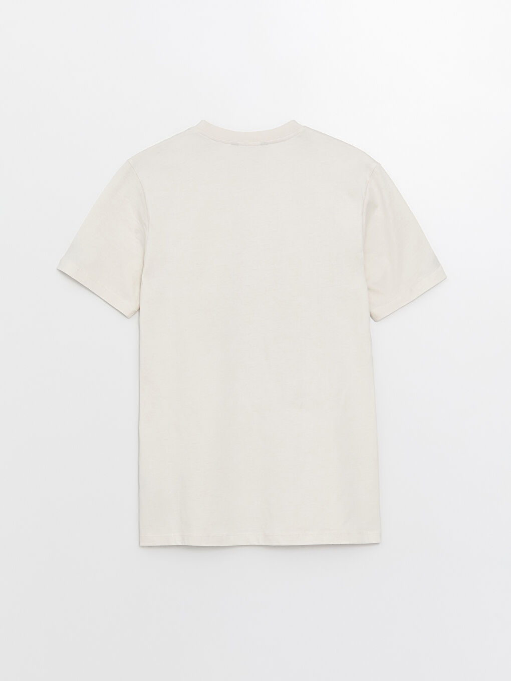 Gri Bisiklet Yaka Kısa Kollu Baskılı Penye Erkek Tişört-6