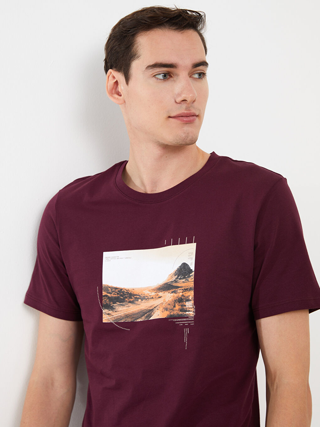 Mürdüm Bisiklet Yaka Kısa Kollu Baskılı Penye Erkek Tişört