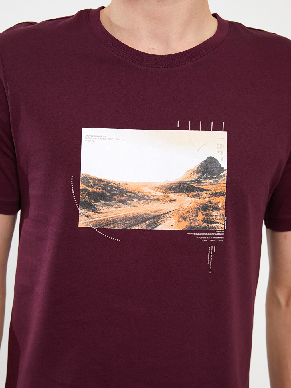 Mürdüm Bisiklet Yaka Kısa Kollu Baskılı Penye Erkek Tişört-3