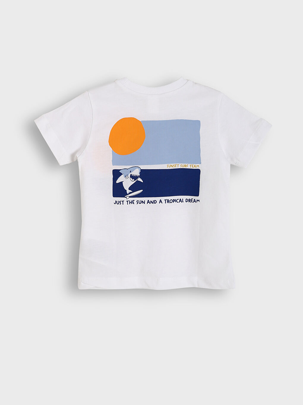 Crew Neck Printed Boys' T-Shirt-1