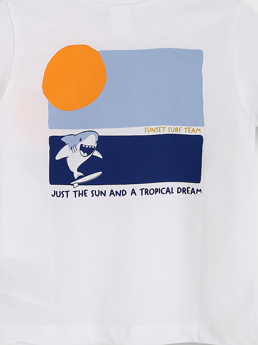 Crew Neck Printed Boys' T-Shirt-2