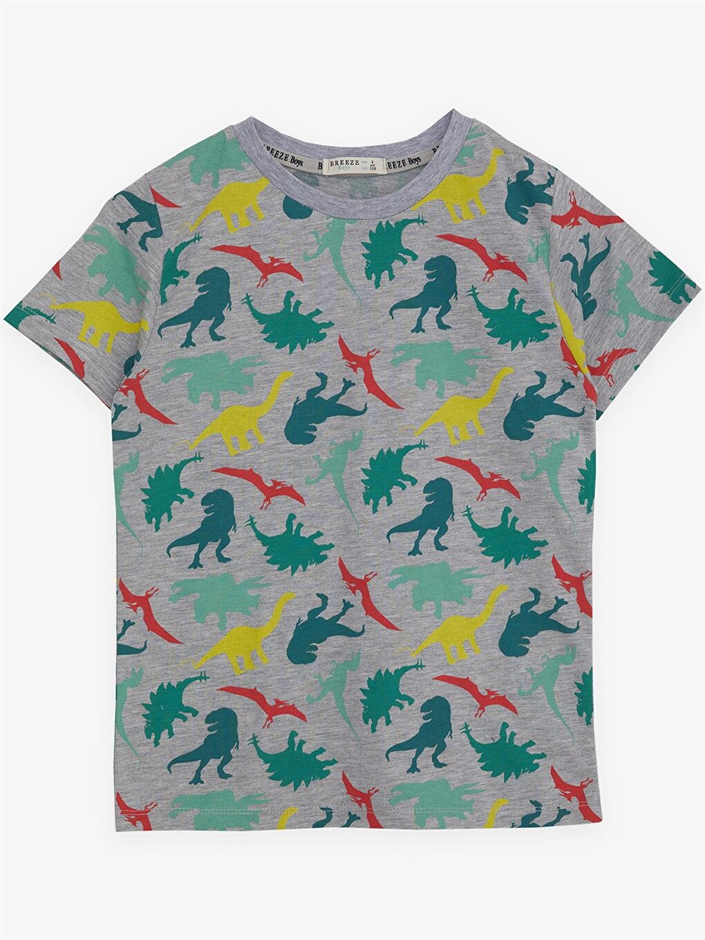 Gri Bisiklet Yaka Desenli Kısa Kollu Erkek Çocuk Tişört