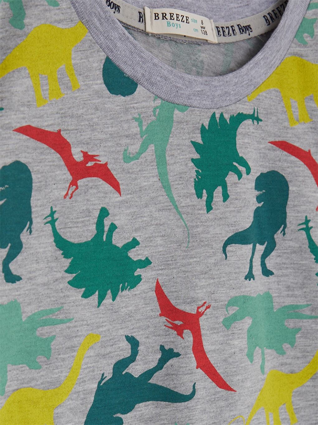 Gri Bisiklet Yaka Desenli Kısa Kollu Erkek Çocuk Tişört-2