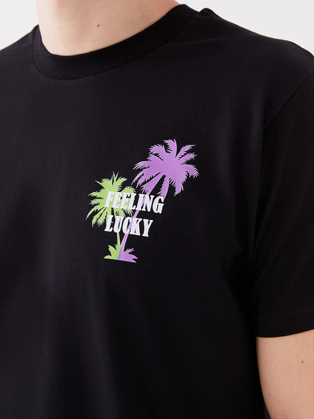 Siyah Bisiklet Yaka Kısa Kollu Baskılı Penye Erkek Tişört-3