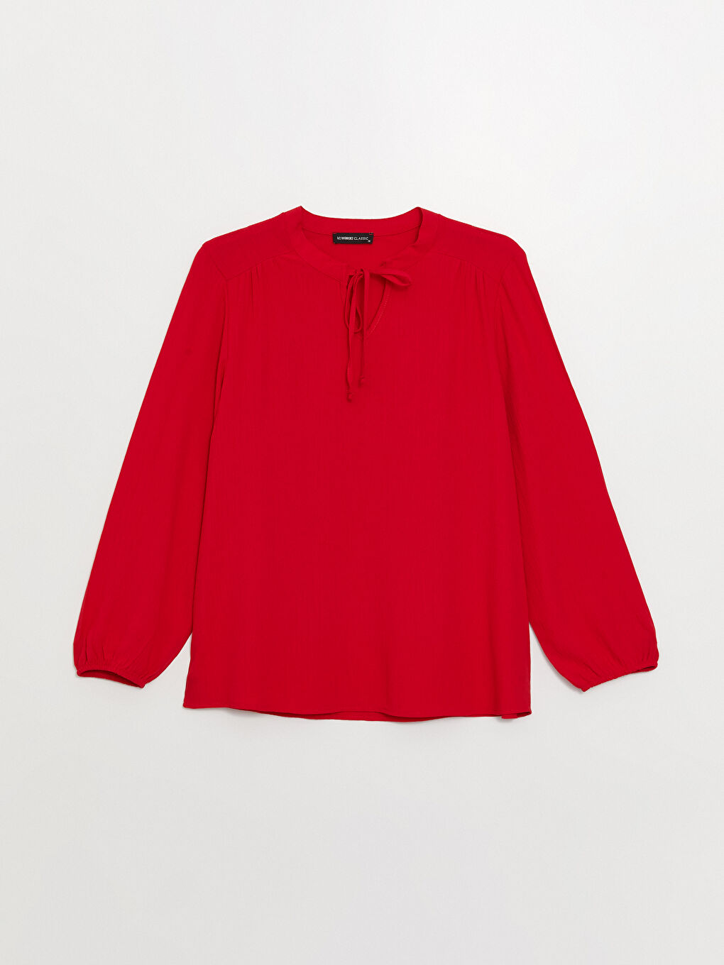 Tie Neck Plain Long Sleeve Women's Blouse-5