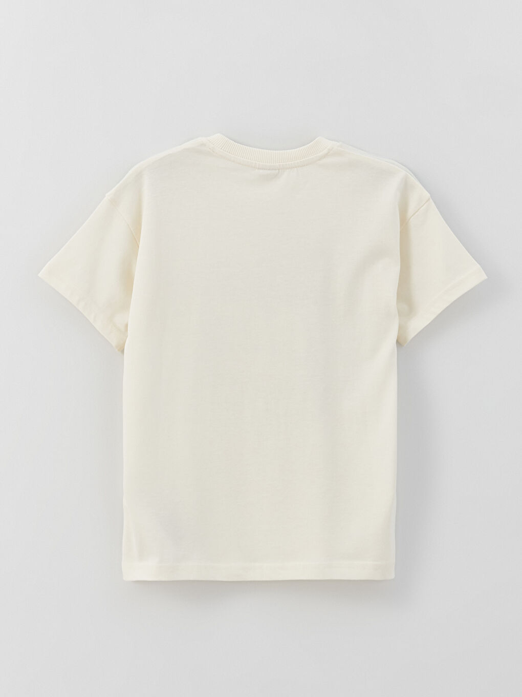 Relaxed Fit Crew Neck Printed Boys' T-Shirt-3