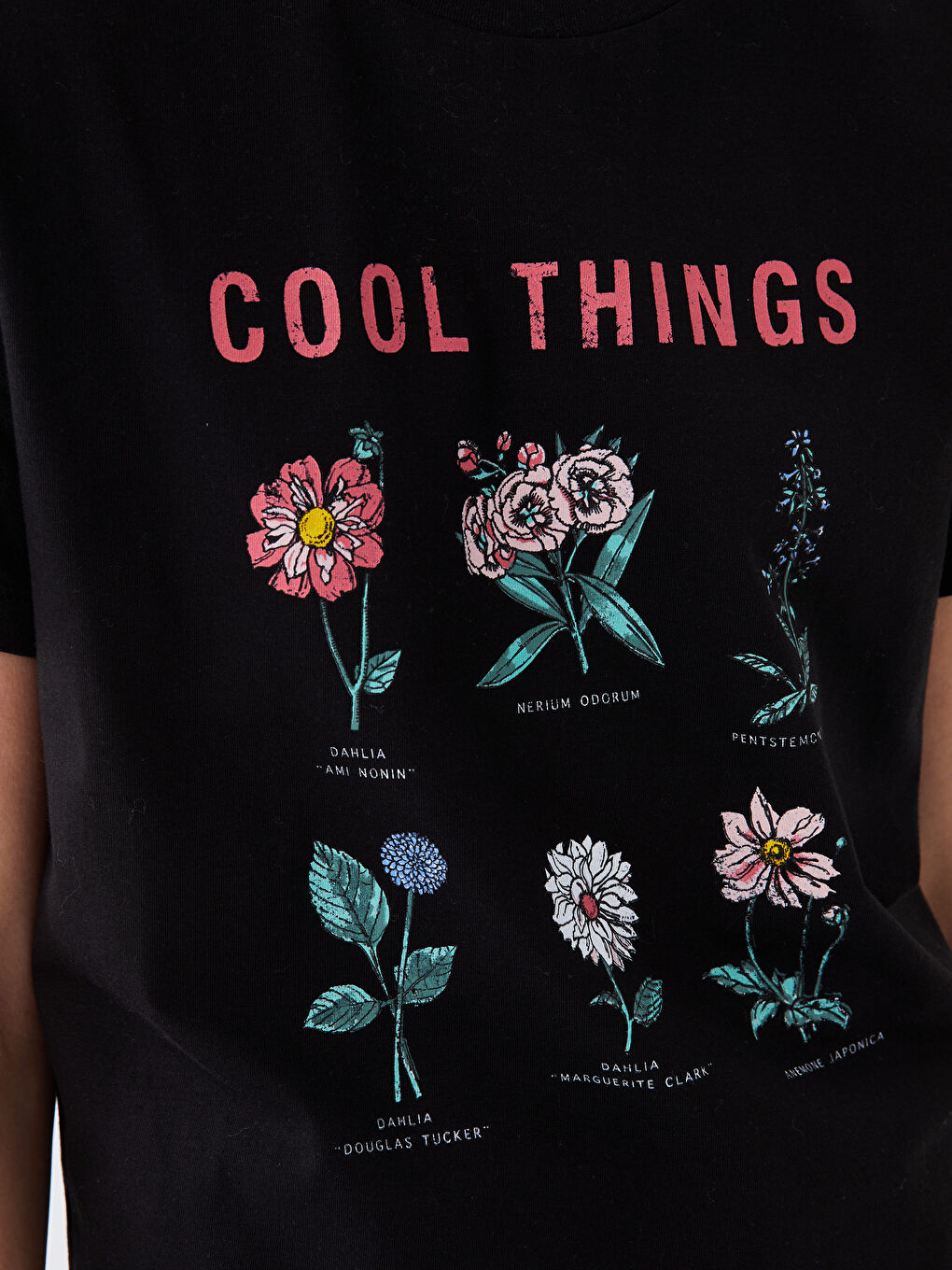 Crew Neck Printed Short Sleeve Women's T-Shirt -S3KN11Z8-CVL