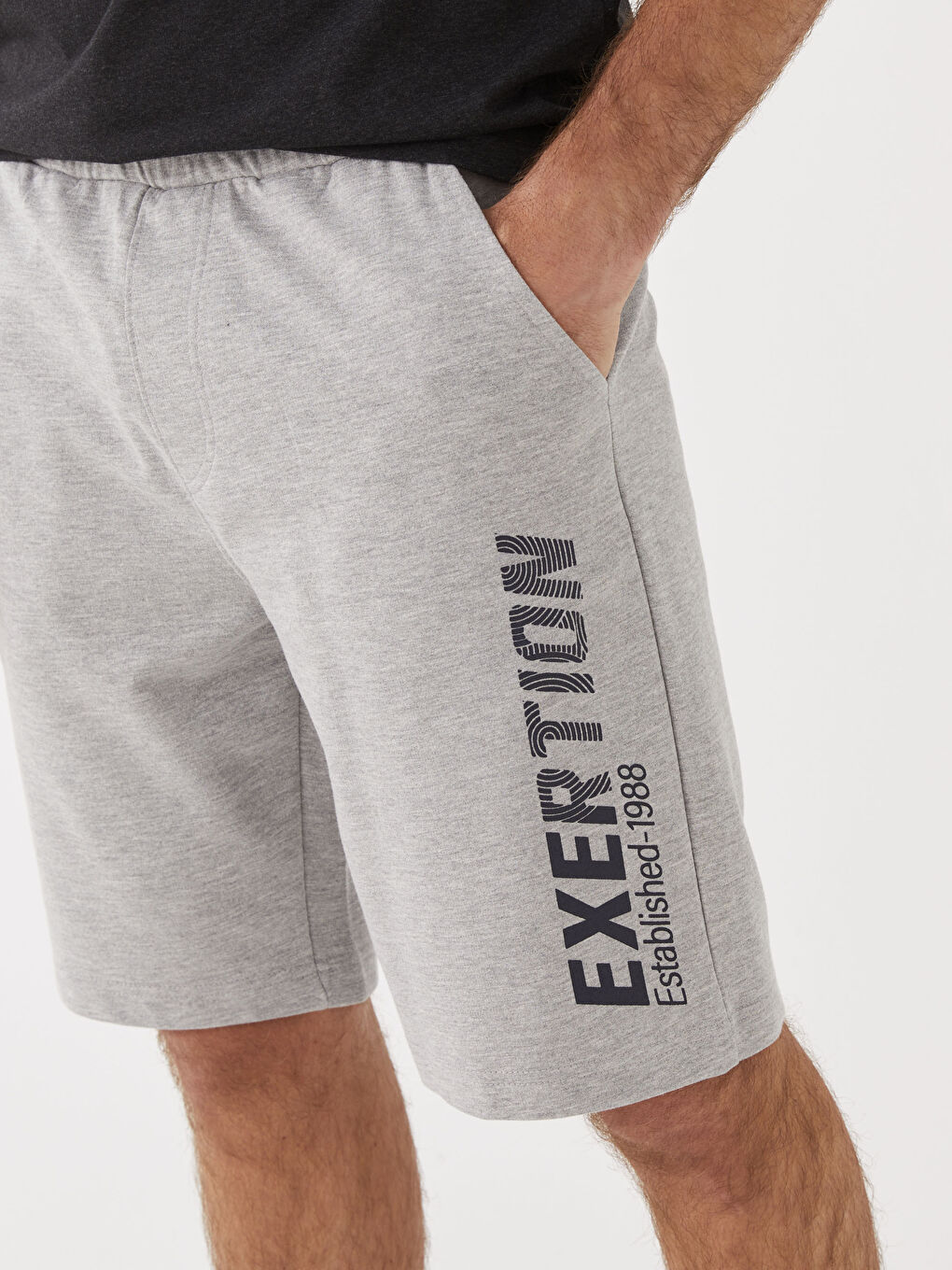 Gri Standart Kalıp Erkek Şort-3