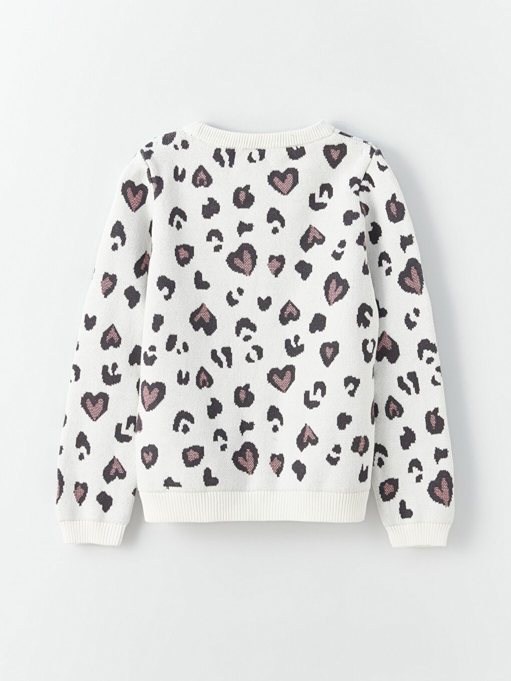 Crew Neck Patterned Long Sleeve Girls' Knitwear Sweater-1