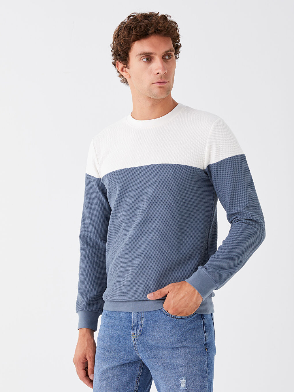 LCW Casual Mat Mavi Bisiklet Yaka Uzun Kollu Renk Bloklu Erkek Sweatshirt - 1