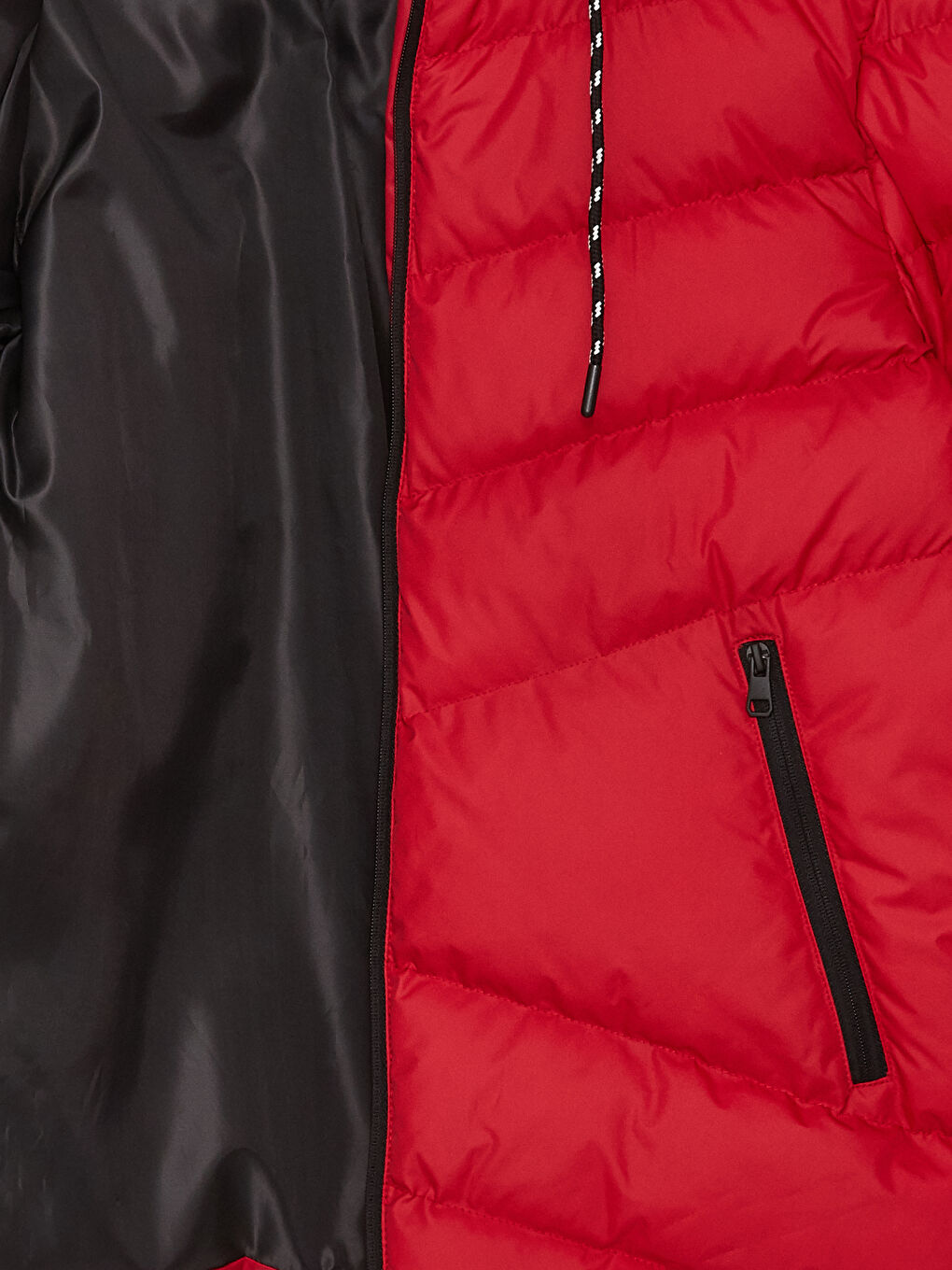 Kırmızı Standart Kalıp Kapüşonlu Erkek Şişme Mont-8