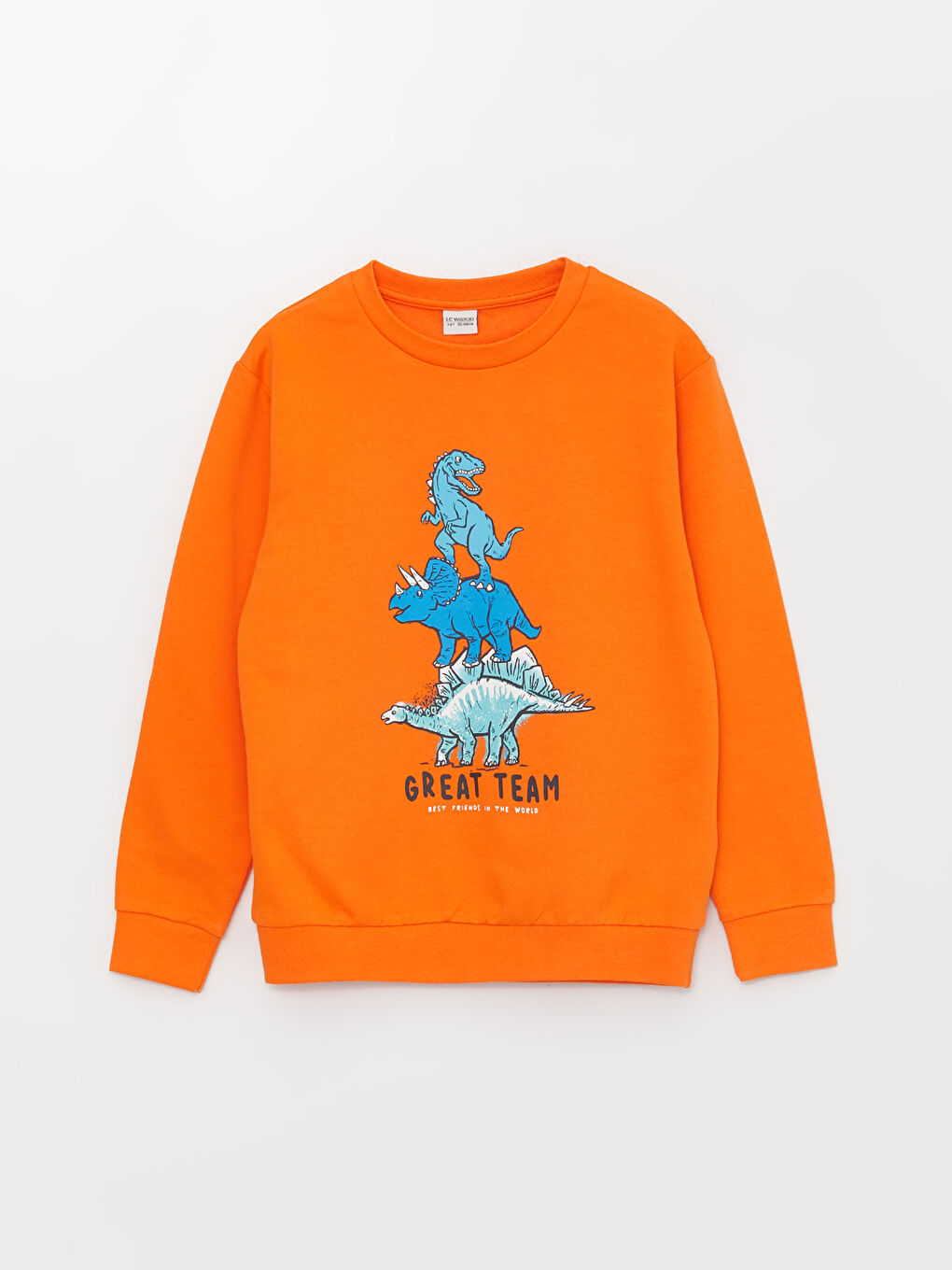 Crew Neck Printed Long Sleeve Boys' Sweatshirt-1