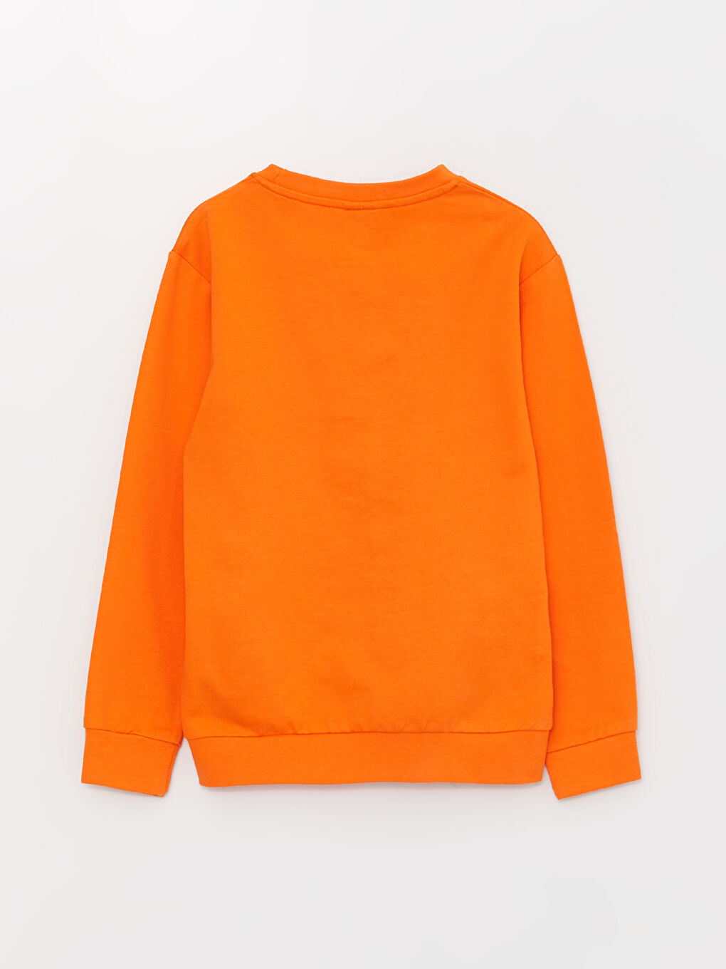 Crew Neck Printed Long Sleeve Boys' Sweatshirt-2