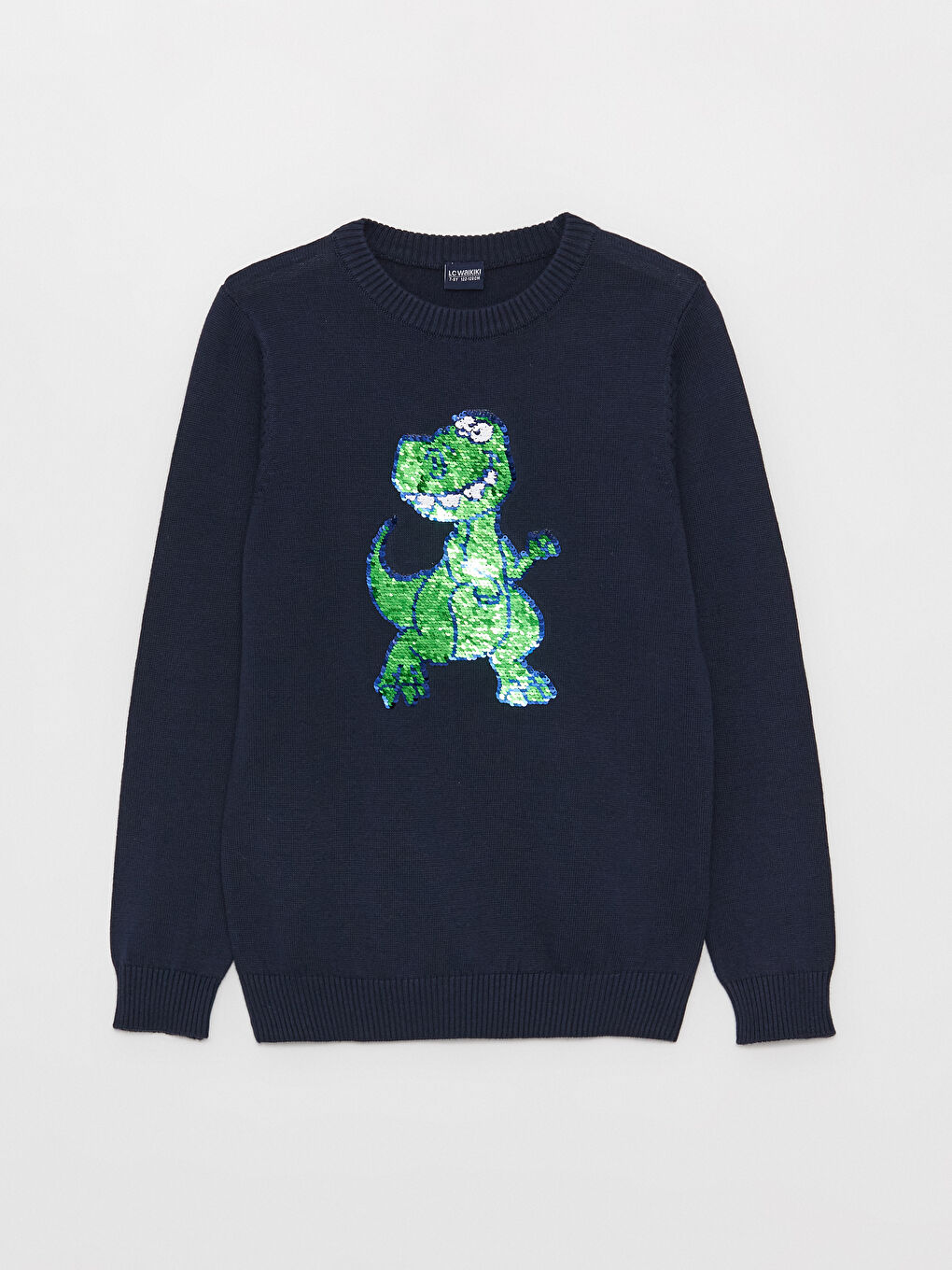 Crew Neck Long Sleeve Boys' Knitwear Sweater -W36489Z4-NOO