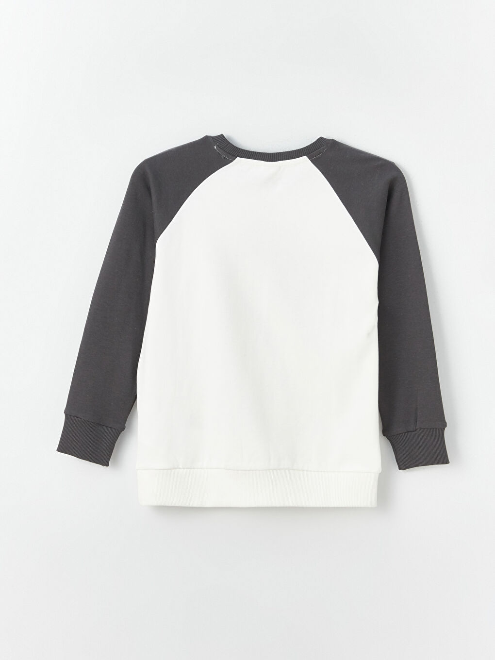 Crew Neck Printed Long Sleeve Boys' T-Shirt-2