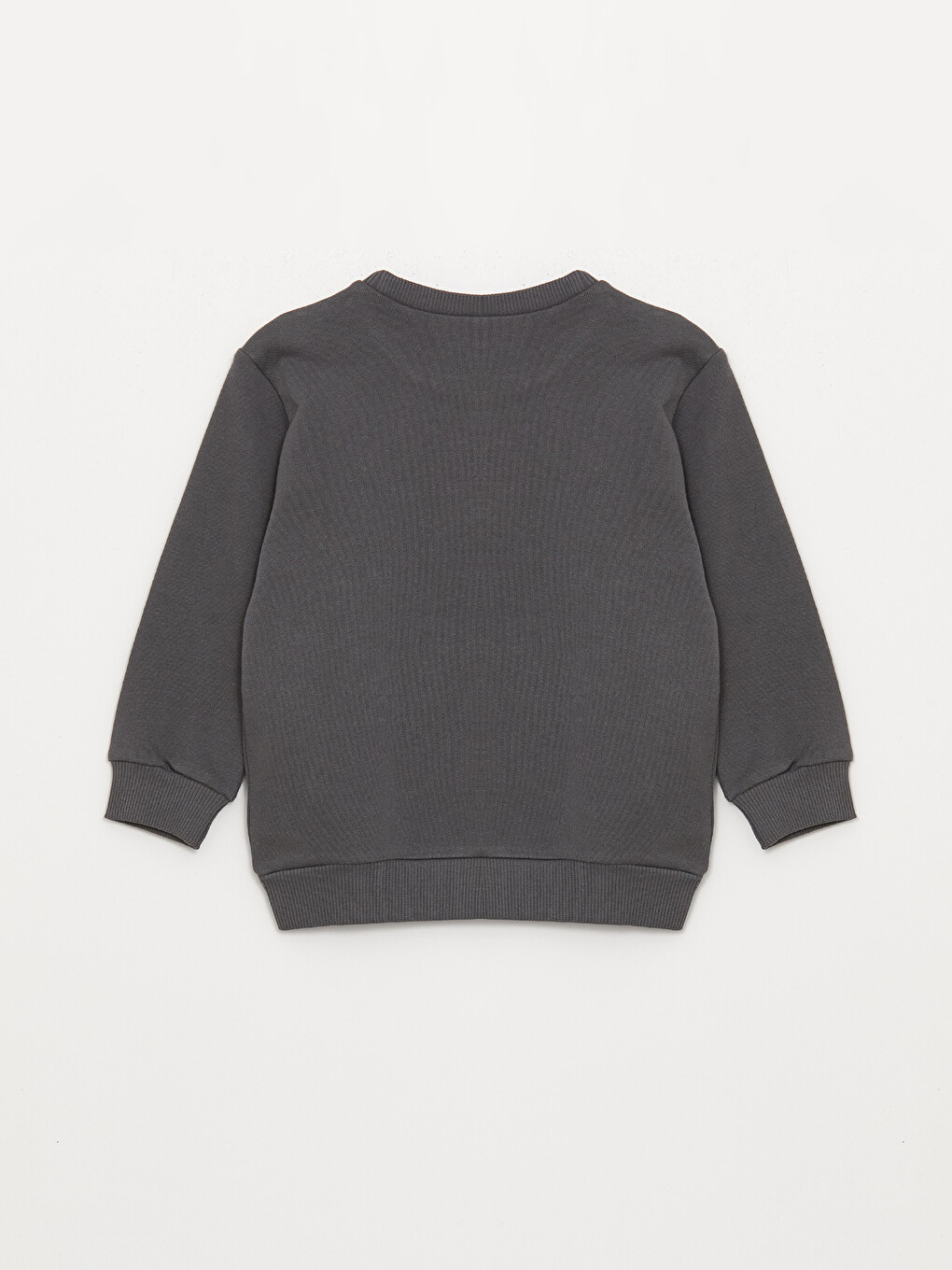LCW baby Bisiklet Yaka Uzun Kollu Baskılı Erkek Bebek Sweatshirt 2