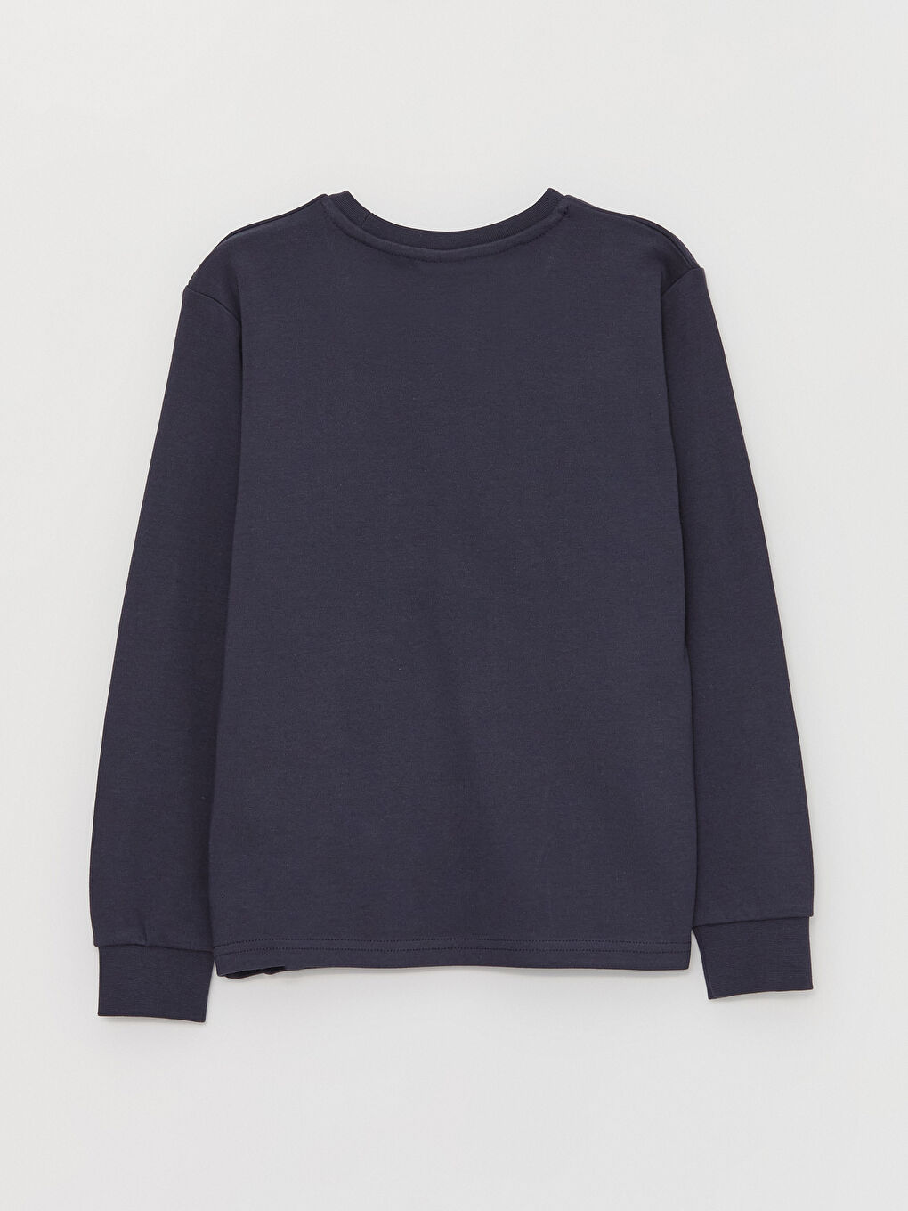Crew Neck Printed Long Sleeve Boys' T-Shirt-2