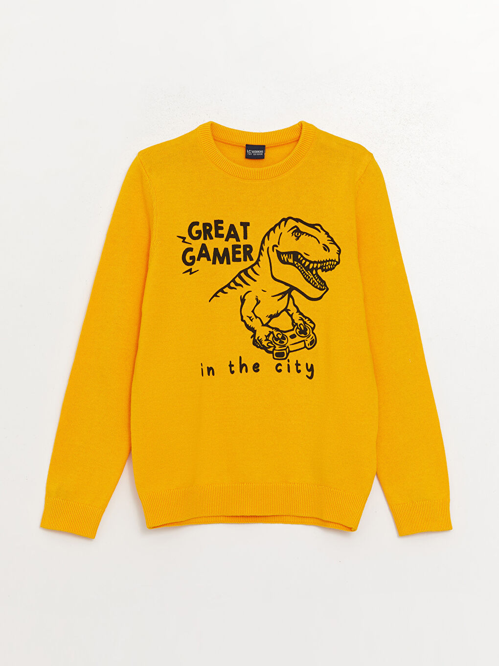 Crew Neck Patterned Long Sleeve Boy Tricot Sweater -W37353Z4-G9W